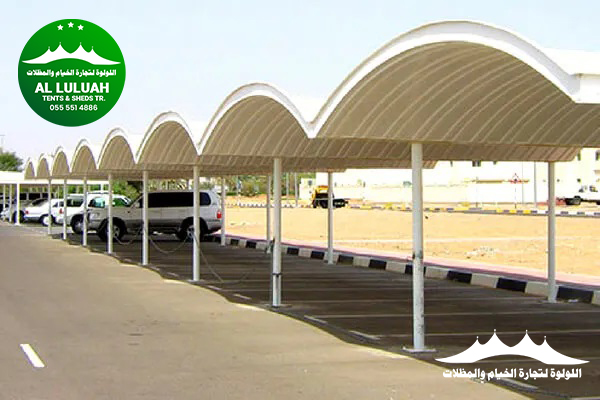 Stylish Car Parking Shades